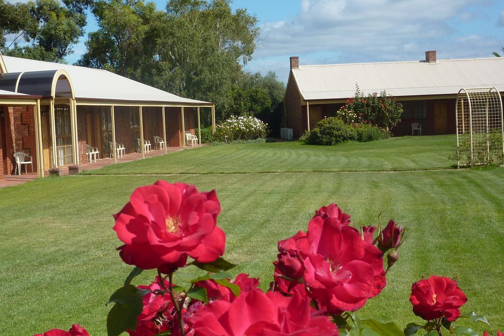 Coonawarra Place Motor Inn Eksteriør bilde