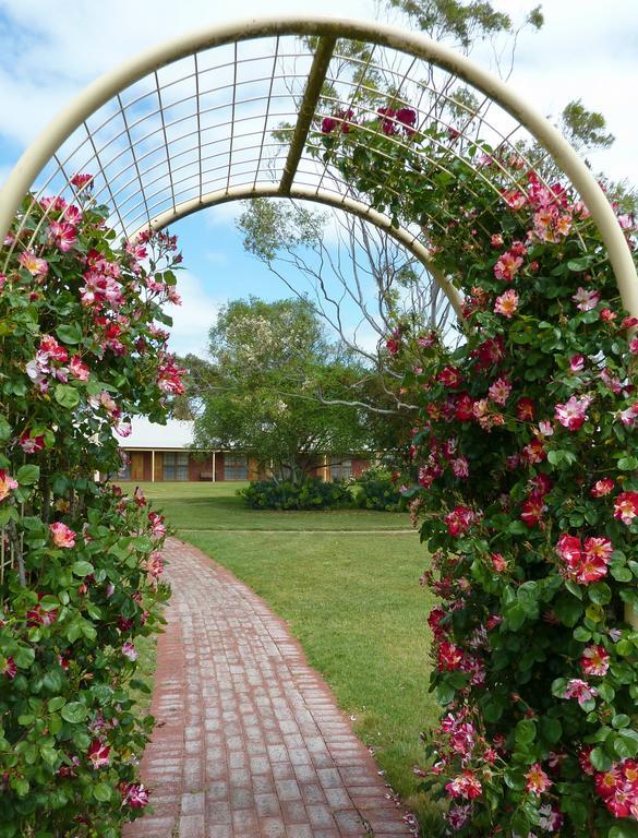Coonawarra Place Motor Inn Eksteriør bilde