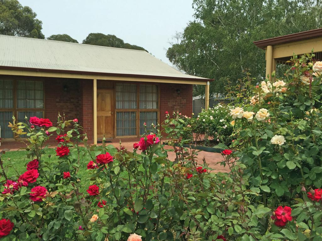 Coonawarra Place Motor Inn Eksteriør bilde