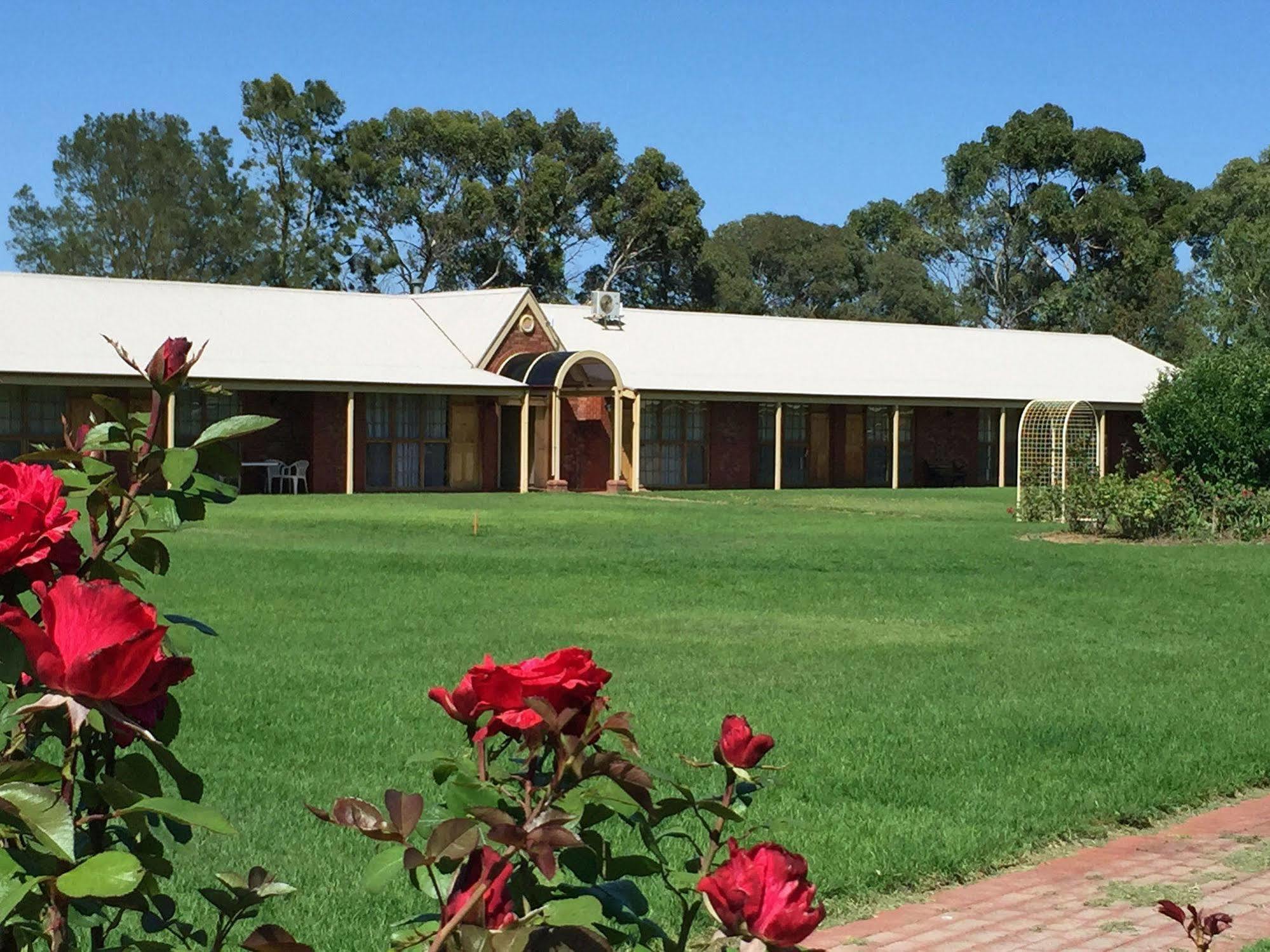 Coonawarra Place Motor Inn Eksteriør bilde
