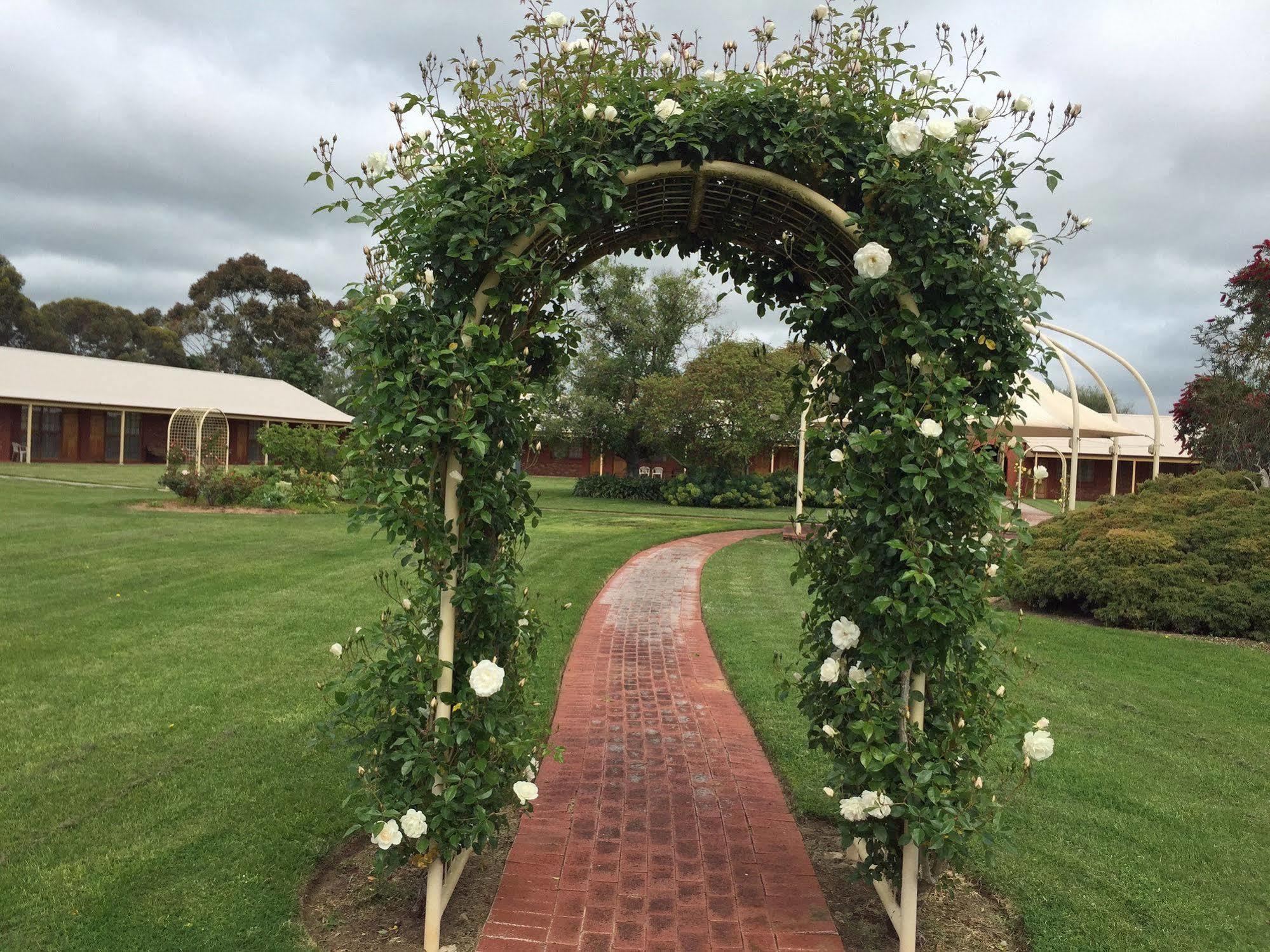 Coonawarra Place Motor Inn Eksteriør bilde