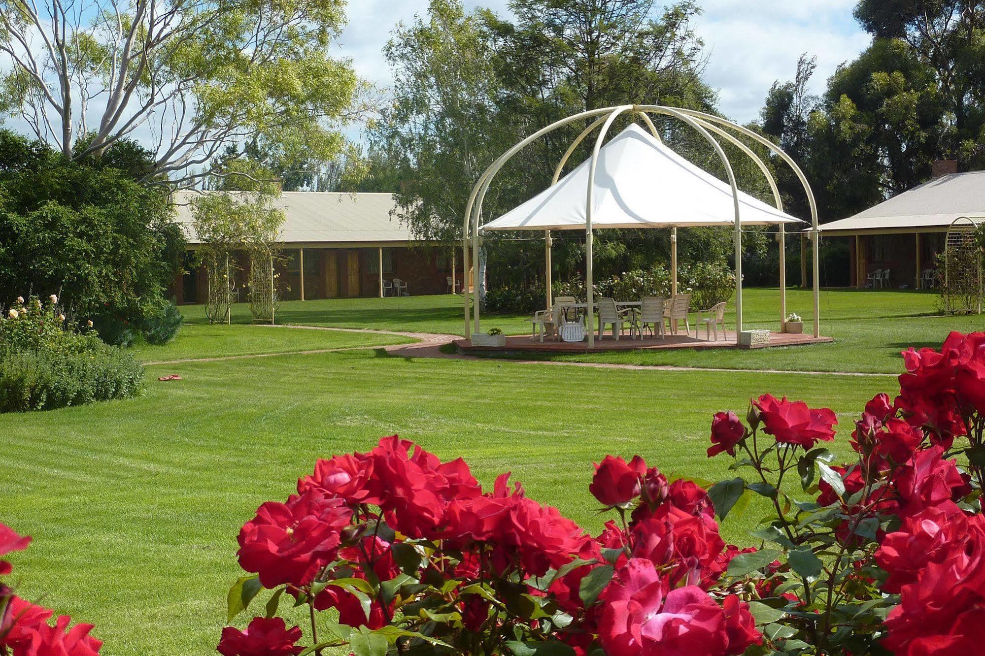 Coonawarra Place Motor Inn Eksteriør bilde