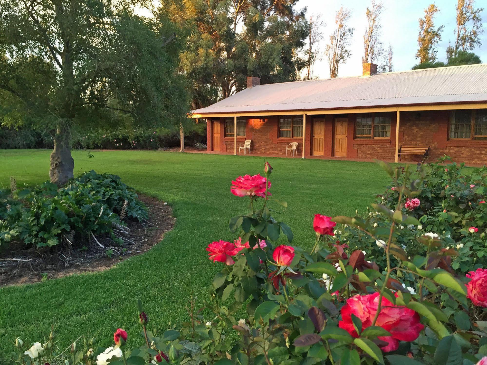 Coonawarra Place Motor Inn Eksteriør bilde