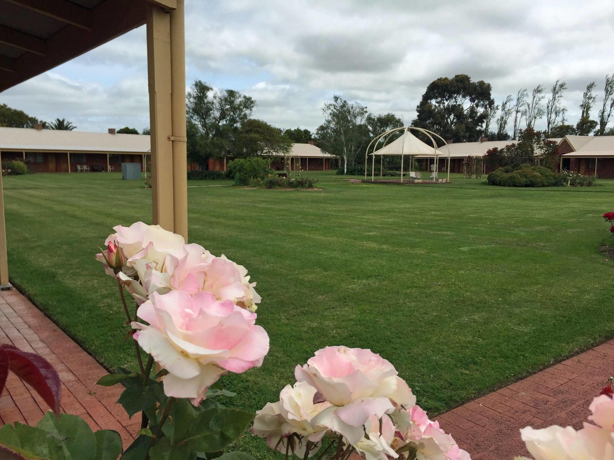 Coonawarra Place Motor Inn Eksteriør bilde
